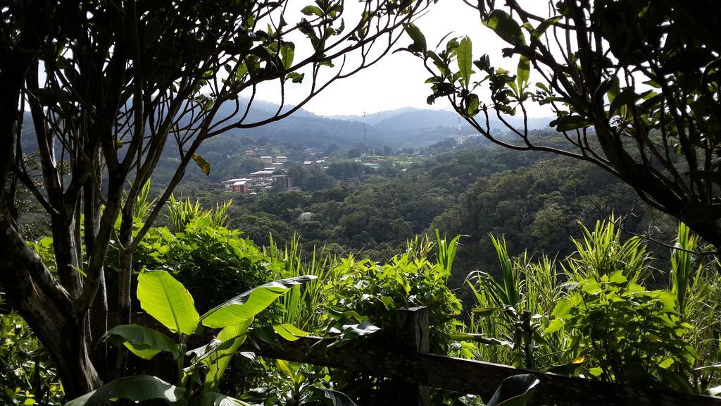 Hotel Las Orquideas Monteverde Extérieur photo