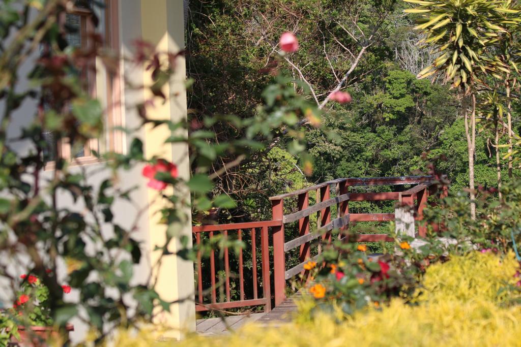 Hotel Las Orquideas Monteverde Extérieur photo