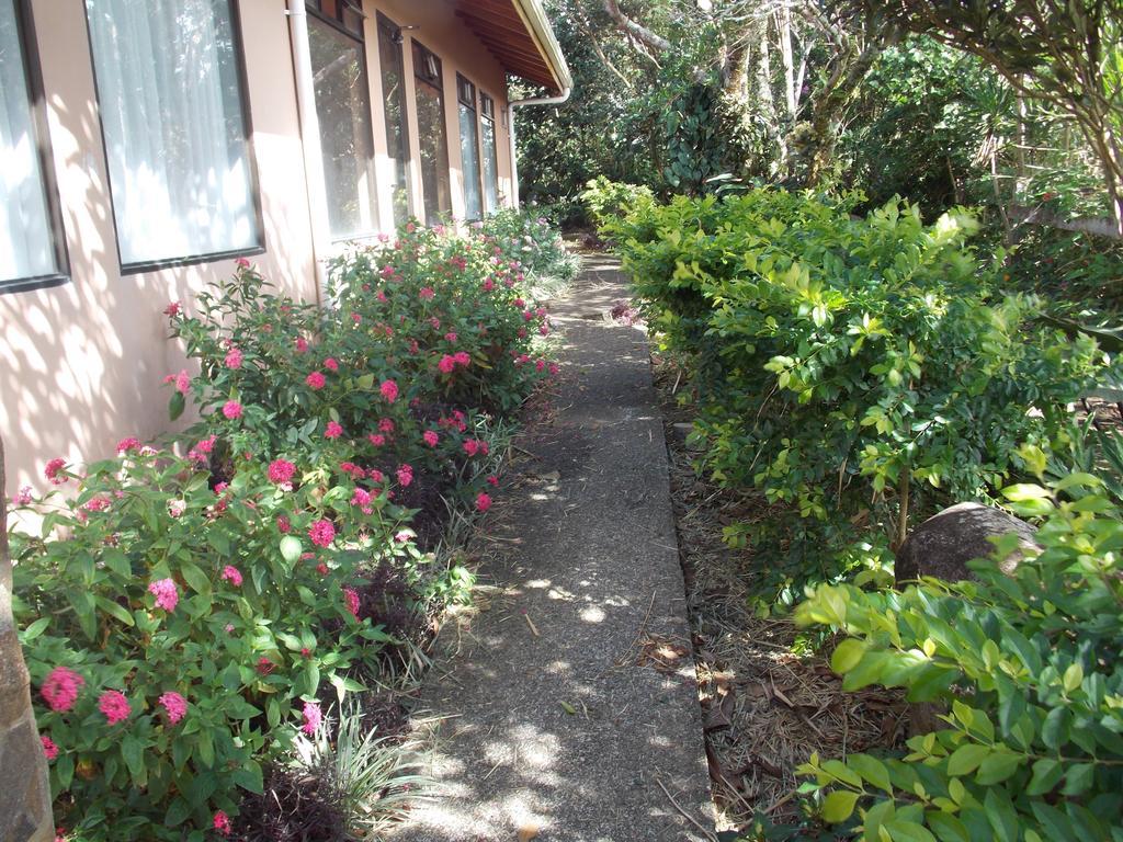 Hotel Las Orquideas Monteverde Extérieur photo